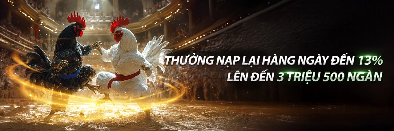 Hình ảnh giới thiệu OK368 đăng nhập - nền tảng cá cược trực tuyến hàng đầu